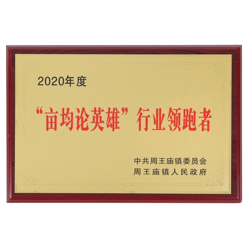 2020畝均論英雄行業(yè)領(lǐng)跑者